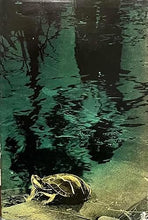 Load image into Gallery viewer, The Tale of a Pond by Henry Bugbee Kane