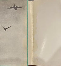 Load image into Gallery viewer, The Tale of a Pond by Henry Bugbee Kane