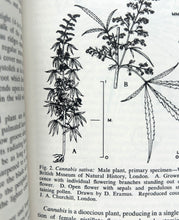 Load image into Gallery viewer, Marijuana—Deceptive Weed