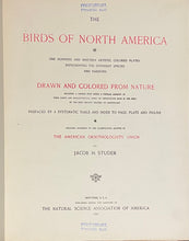 Load image into Gallery viewer, The Birds of North America - Jacob H. Studer