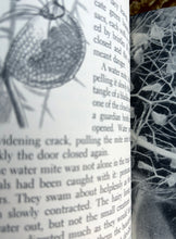 Load image into Gallery viewer, The Tale of a Pond by Henry Bugbee Kane