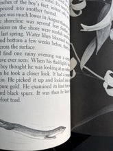 Load image into Gallery viewer, The Tale of a Pond by Henry Bugbee Kane