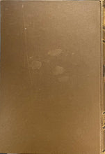 Load image into Gallery viewer, Rose in Bloom - Louisa May Alcott