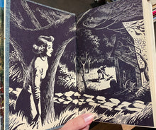 Load image into Gallery viewer, The Clue in the Crumbling Wall - Carolyn Keene