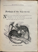 Load image into Gallery viewer, Little Folk's Friends in Feathers and Fur - L.G. Stahl