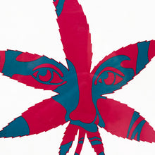 Load image into Gallery viewer, Marijuana—Deceptive Weed
