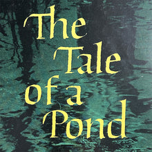 Load image into Gallery viewer, The Tale of a Pond by Henry Bugbee Kane
