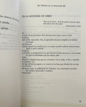 Load image into Gallery viewer, No buscan reflejarse: poems of José Kozer
