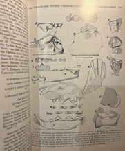 Load image into Gallery viewer, Vertebrate Fossils and Their Context: a festschrift
