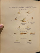 Load image into Gallery viewer, Fishing in New England - Leslie P. Thompson
